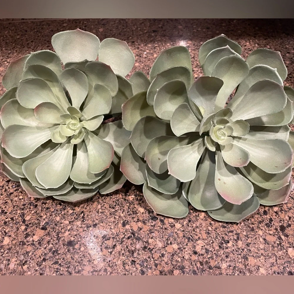 Pottery Barn Succulent Stems set of two